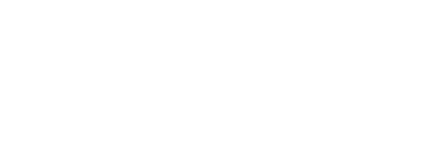 NSUDE